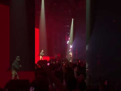 Rolling Loud Australia 2019: YG Plug Walk Performance