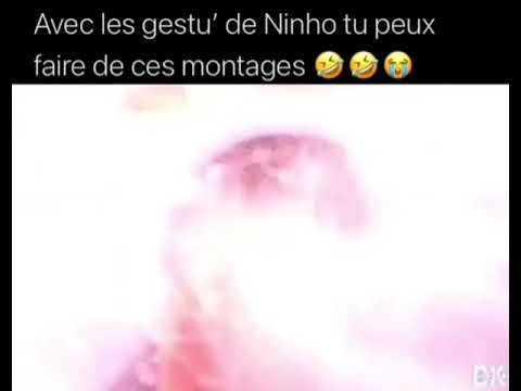 Ninho Montage Gestu 🎬