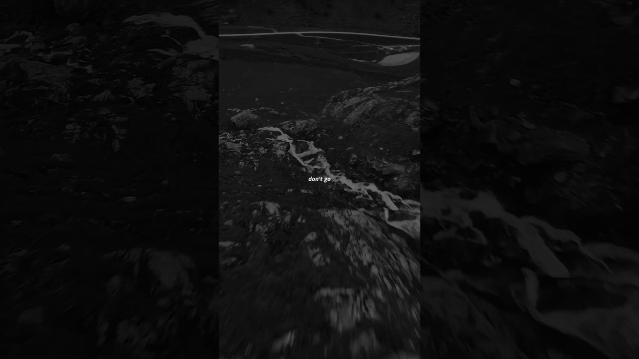 Jay Sean - Ride It Lyrics 🎶