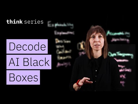 Decode Black Boxes with Explainable AI: Building Transparent AI Agents