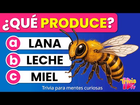 100 Preguntas de Primaria | Trivia de Cultura General Fácil