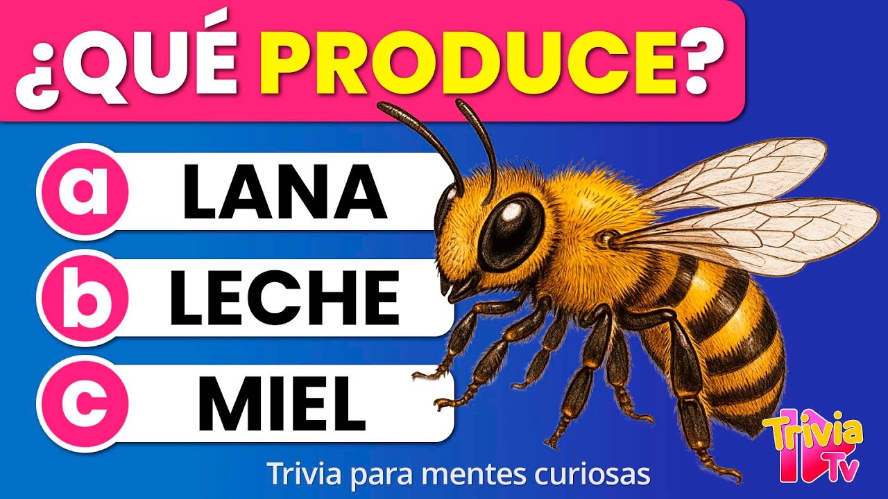 100 Preguntas de Primaria | Trivia de Cultura General para Todas las Edades