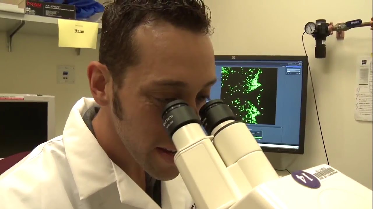 At the NIH Clinical Center: Dr. Michael J. Krashes contributes to fighting obesity