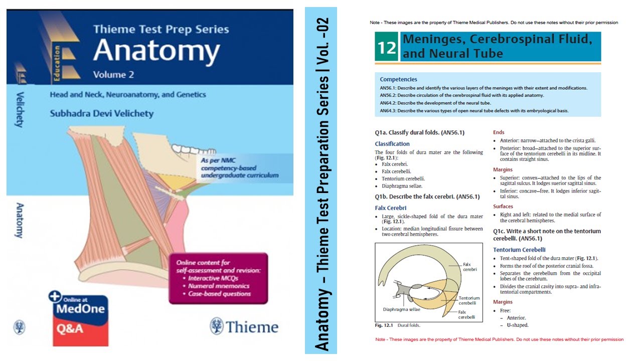 Thieme Test Prep Series: Anatomy (Volume 02) by Subhadra Devi Velichety โ MD & GPAT Guide ๐