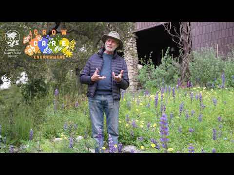 Grow CARE Everywhere: Bruce Schwartz's Native Garden
