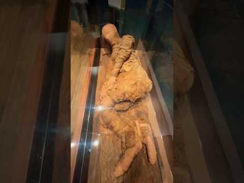 Ancient Egyptian mummy on display. #ancient #mummy #egypt #ancienthistory