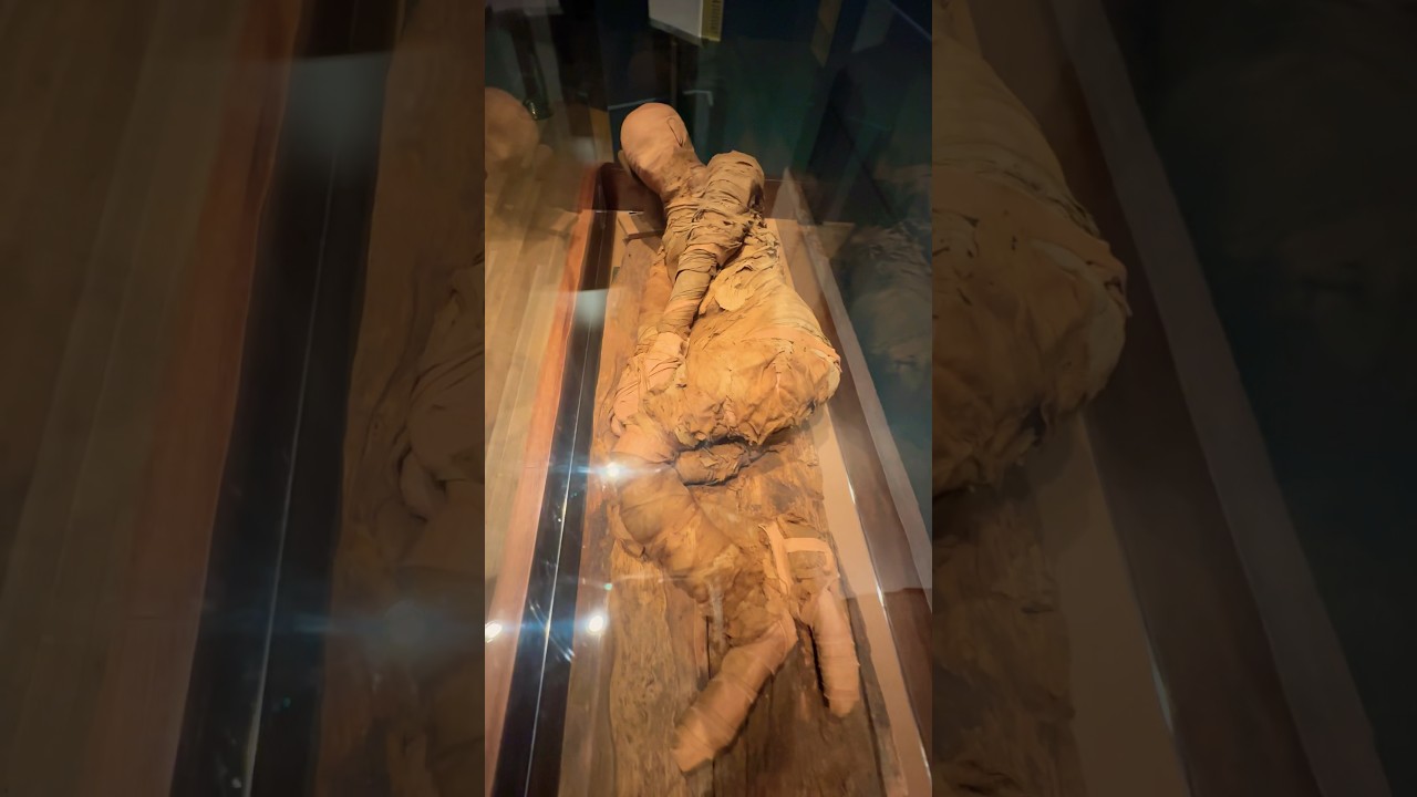 Discover the Fascinating Ancient Egyptian Mummy at Atlanta’s Michael C. Carlos Museum 🏺