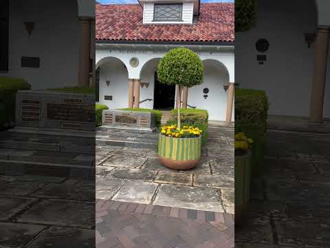 Australian landscape and garden  #naing100 #travel #garden #roadto100 #Australia