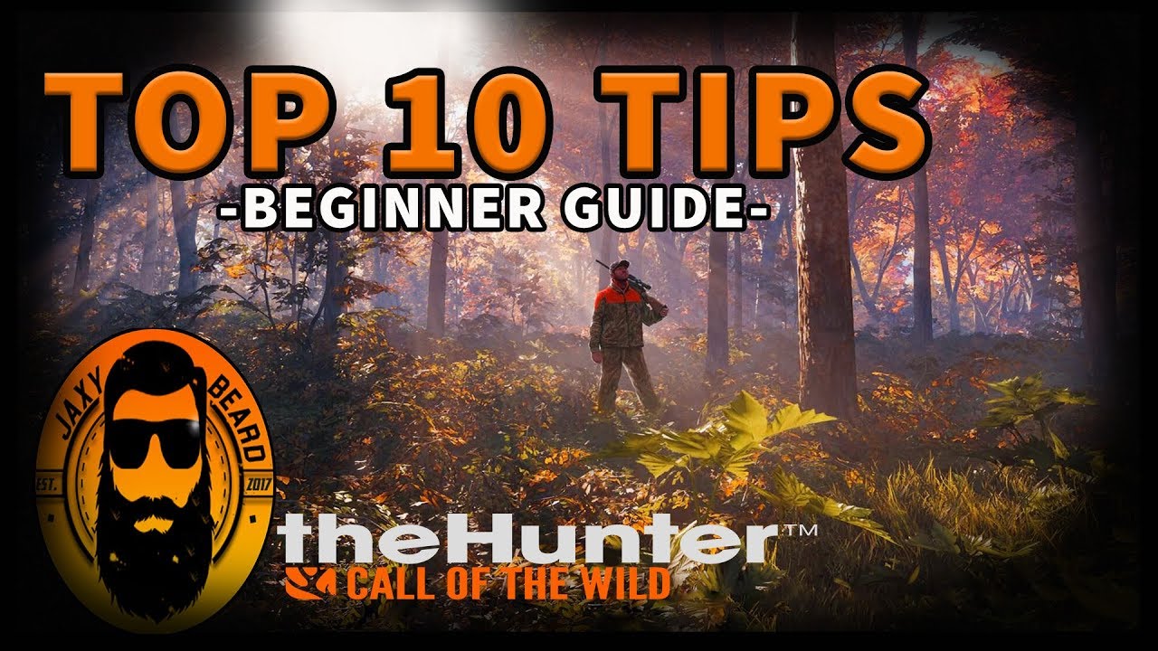 TOP 10 Top 10 Beginner Tips for The Hunter 🦌