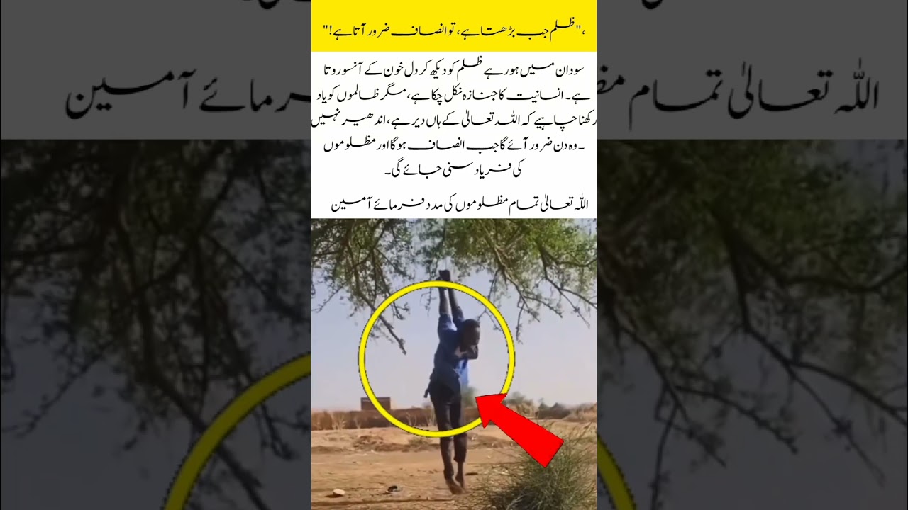 Urgent: Stand with Sudan in the Fight for Justice ✊