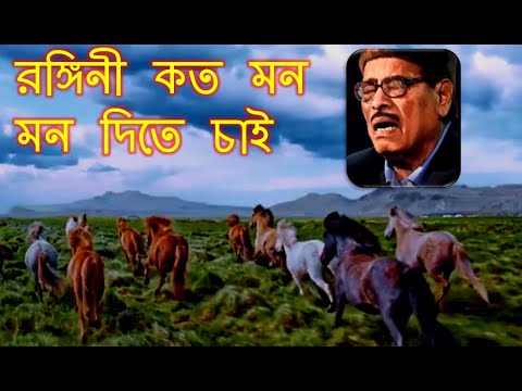 Rangini Kato Mon Mon Dite Chai lyrics | purono diner bangla gaan | manna dey bengali song |