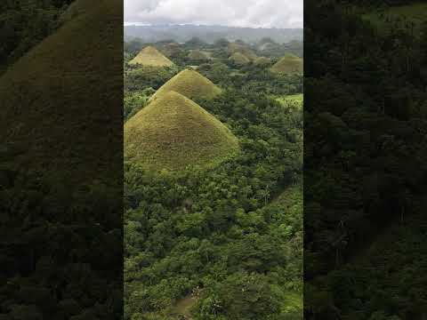 The very majestic view of toblerone in Philippines the Chocolate Hills in Carmen, Bohol