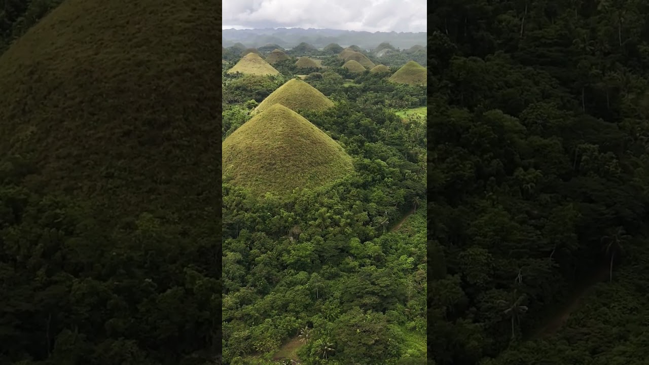 Majestic View of the Chocolate Hills in Carmen, Bohol, Philippines