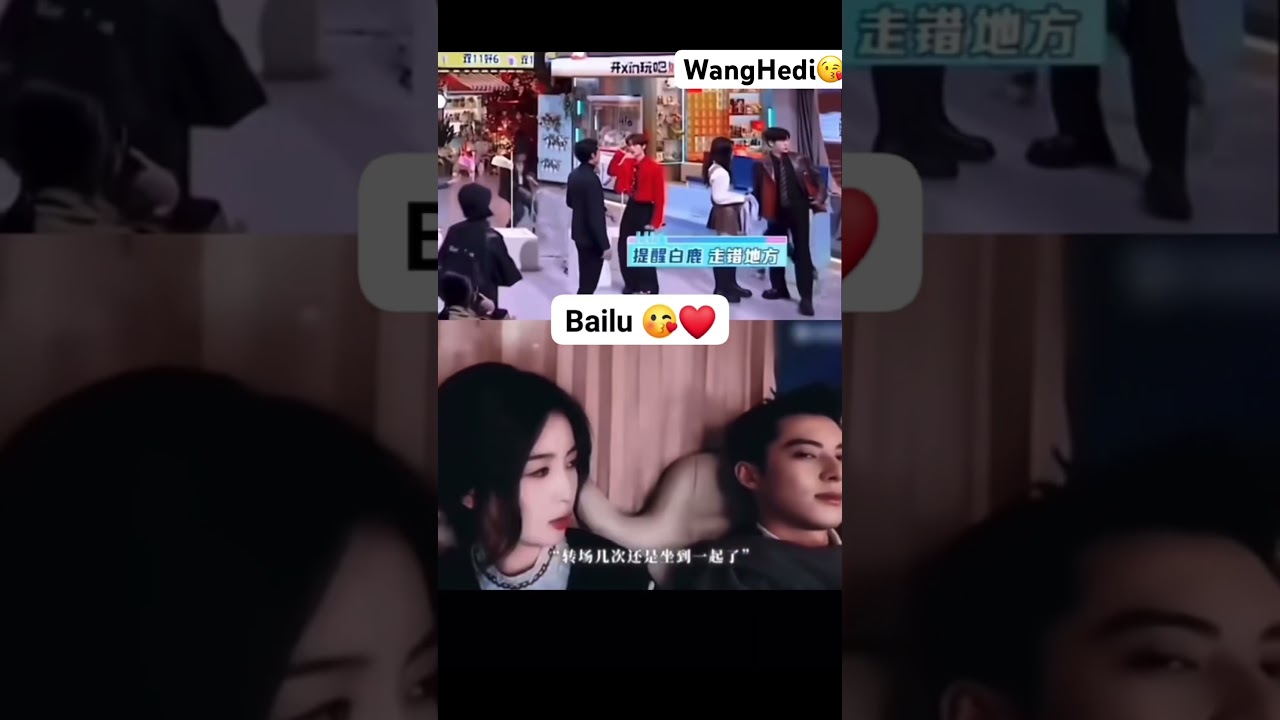 You Know “BAILU”? 🤣 #白鹿 #bailu
