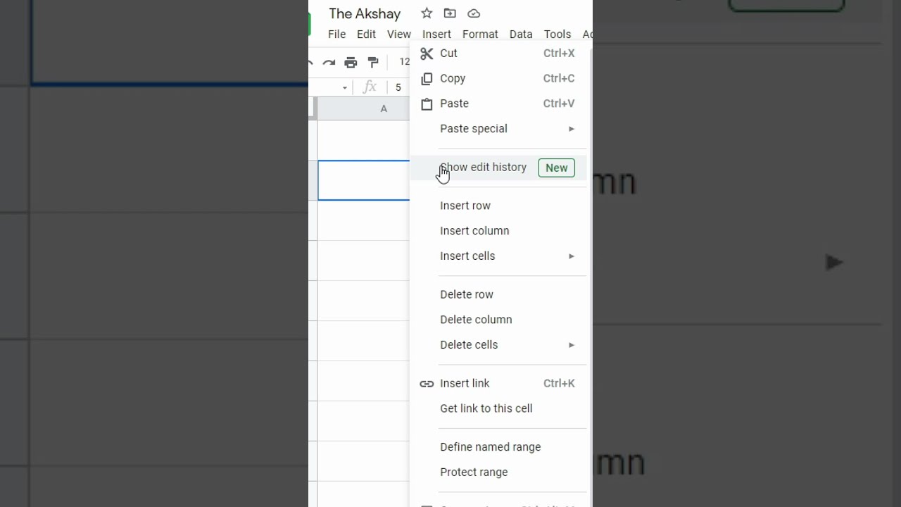 View Cell Edit History in Google Sheets π