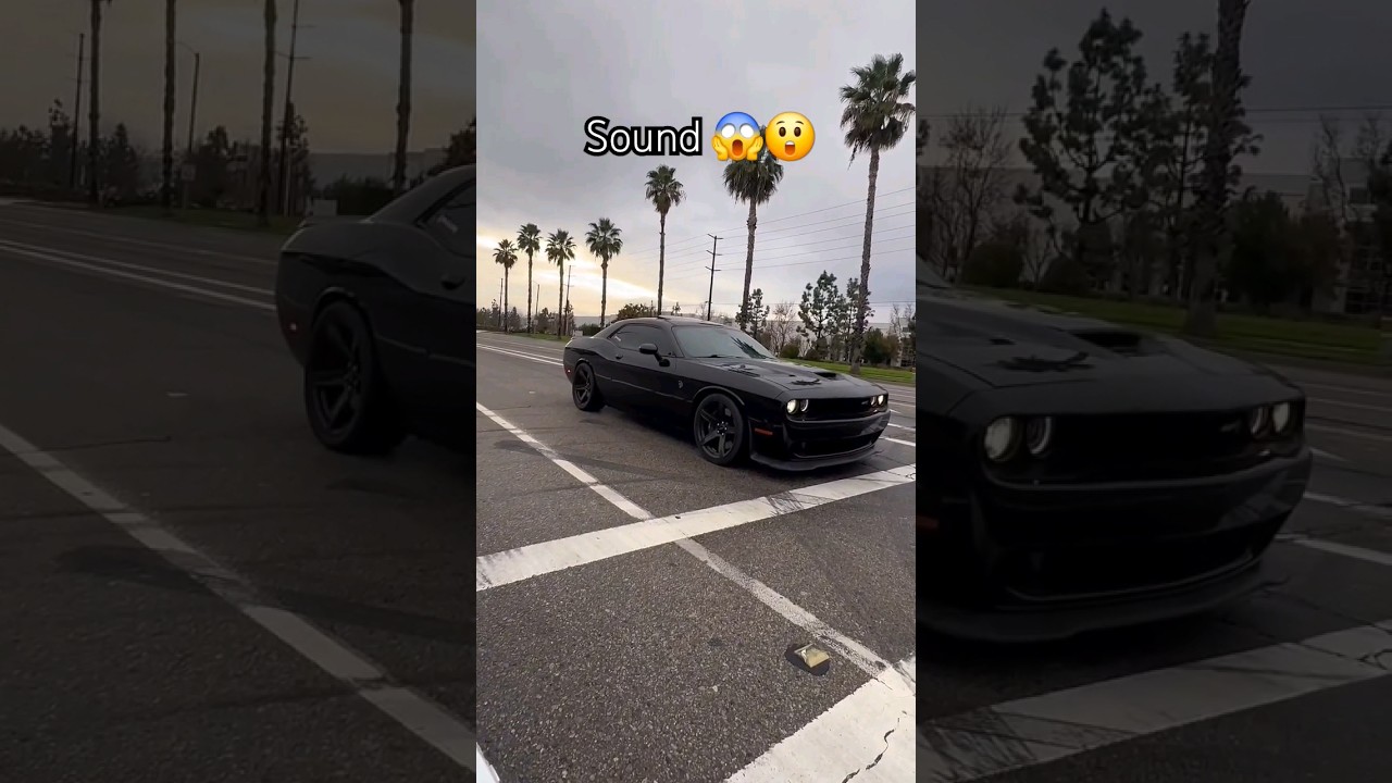 Unbelievable Dodge Challenger Sound! 😱 | Must-See Supercar Audio