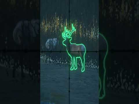 Never Miss Vitals Again! Tips for The Hunter 🦌