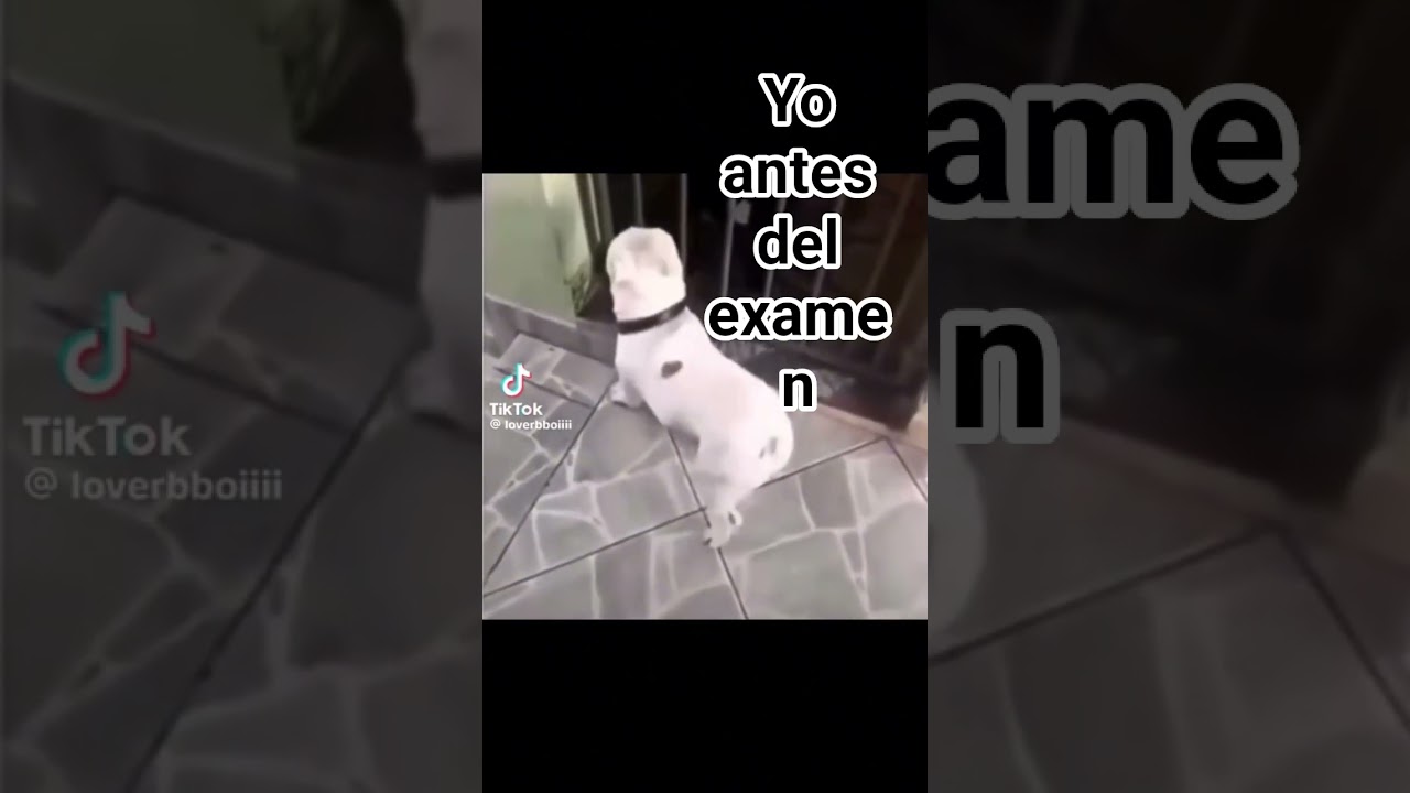 XD