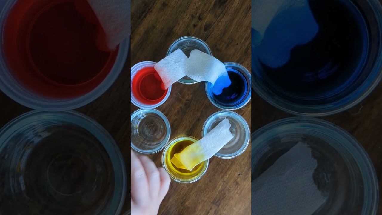 Magic Water Walking Experiment 🌊