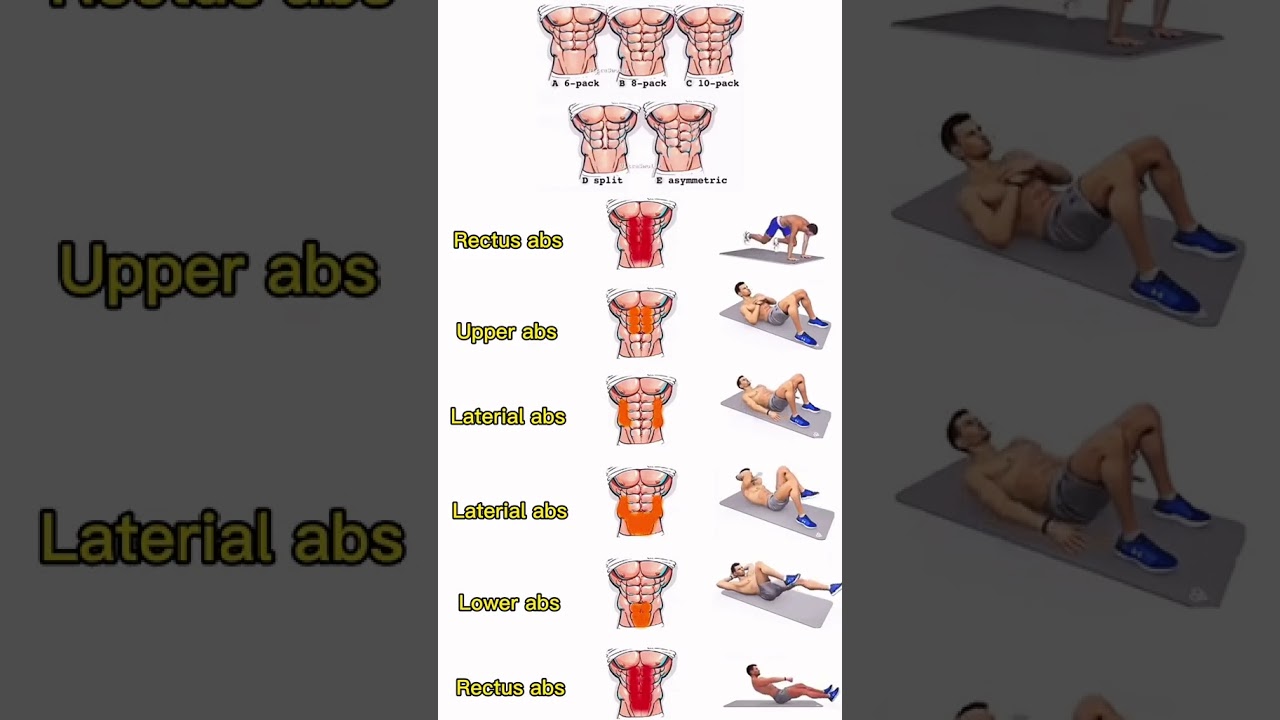 Daily Exercise for a Strong, Healthy Body 💪