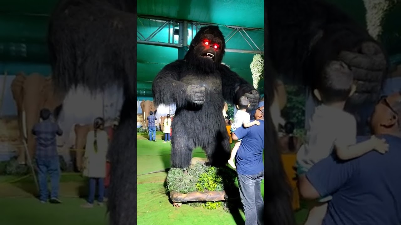 KingKong Exhibition & Kids Play at Vizag Zoo 🦍