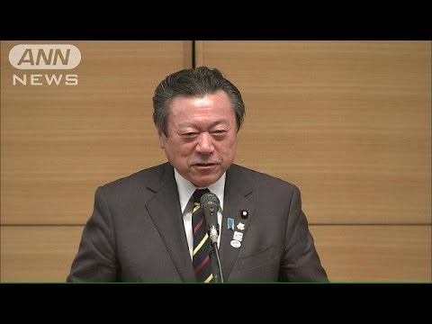 桜田副大臣 河野談話見直しに同調「考え方同じ」(14/03/04)