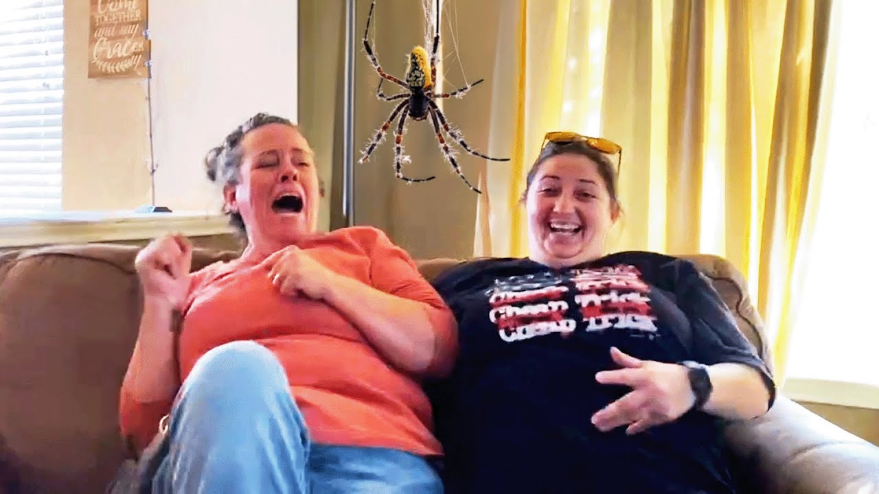 Hilarious Pranks Gone Wrong: Top Funny Fail Compilation