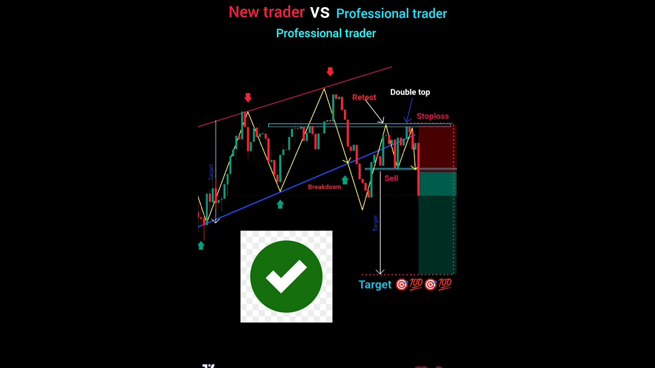 New Trader vs. Professional Trader: Price Action Trading Courses for Crypto, Forex, and Strategy