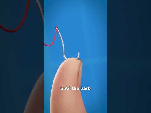 How To Remove A Fishhook 😱