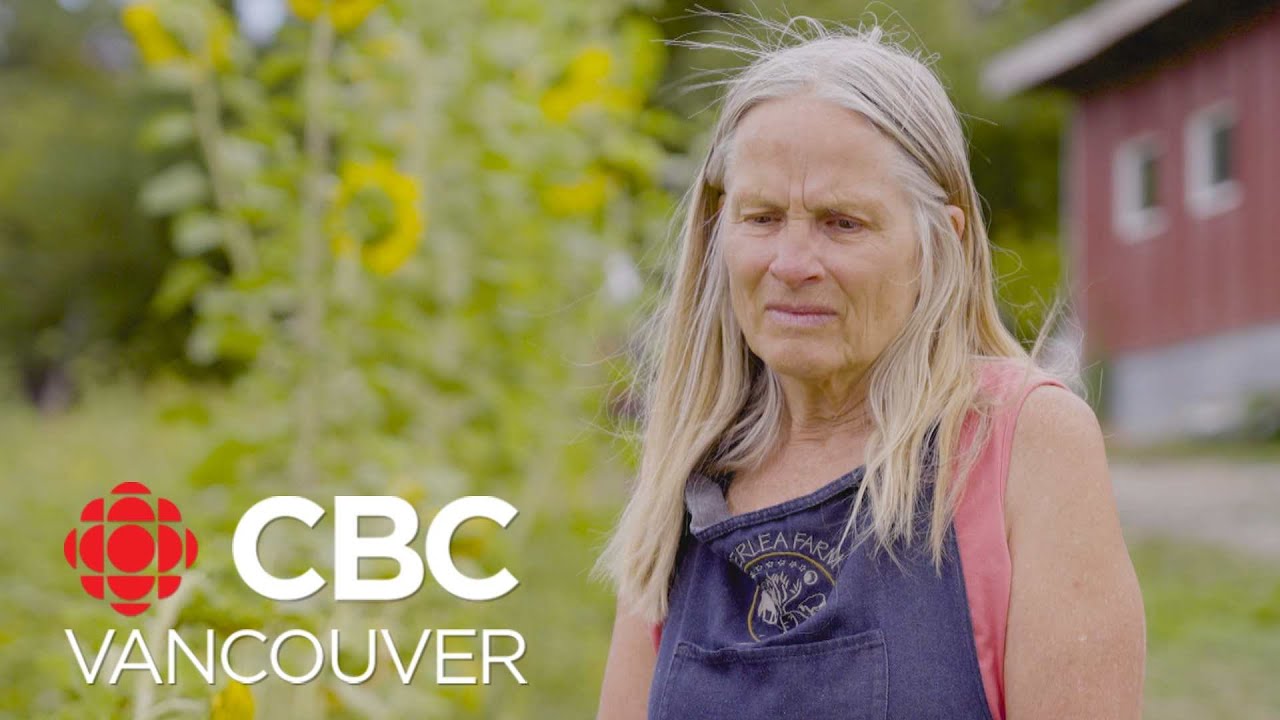 Groundwater Tensions Rise in Cowichan Valley π§