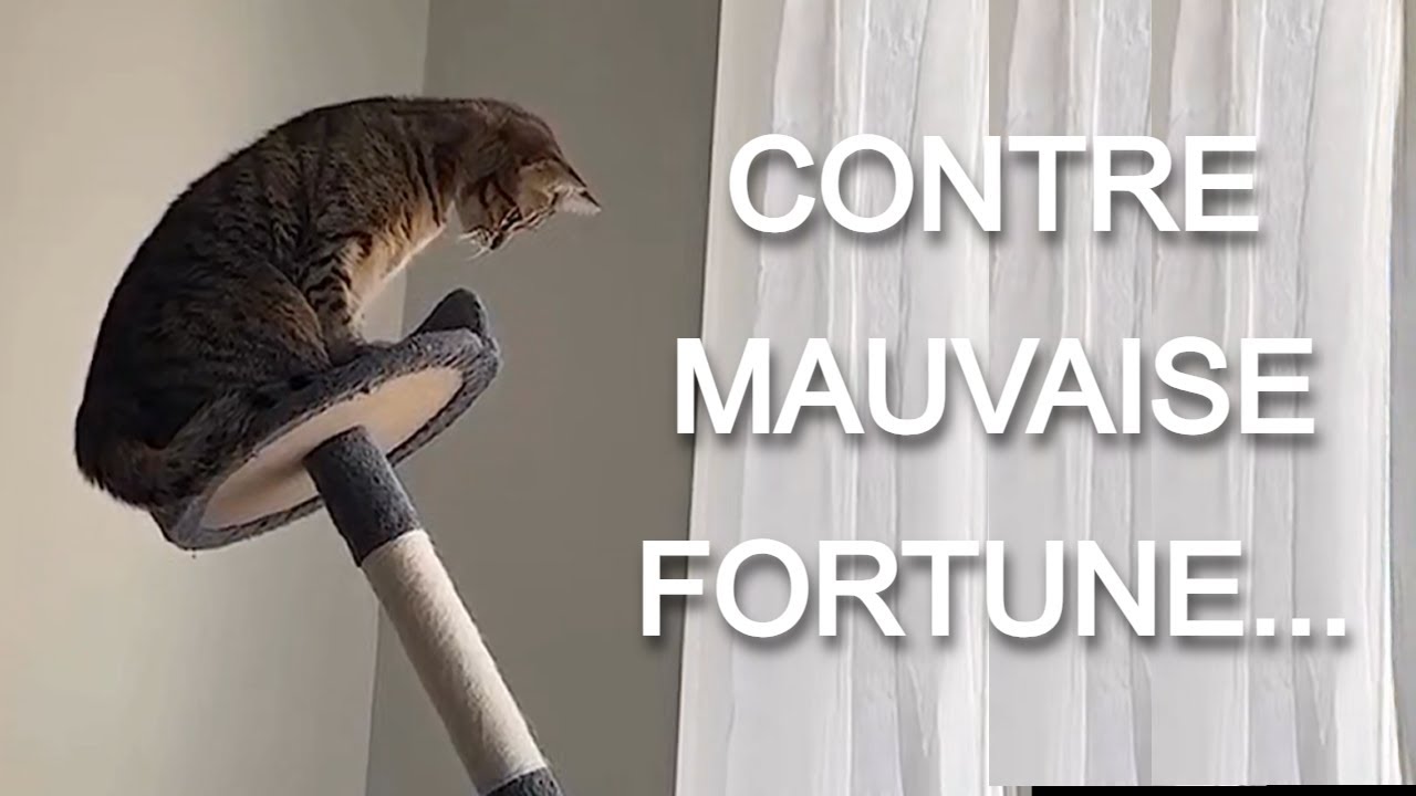 CONTRE MAUVAISE FORTUNE BON COEUR
