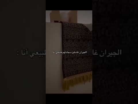 سعد في شارع الأعشى 🚶‍♂️