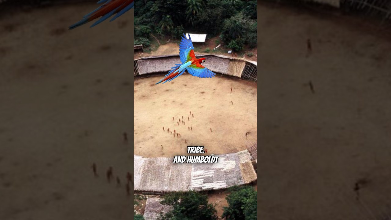 Parrot Revives Endangered Language 🦜