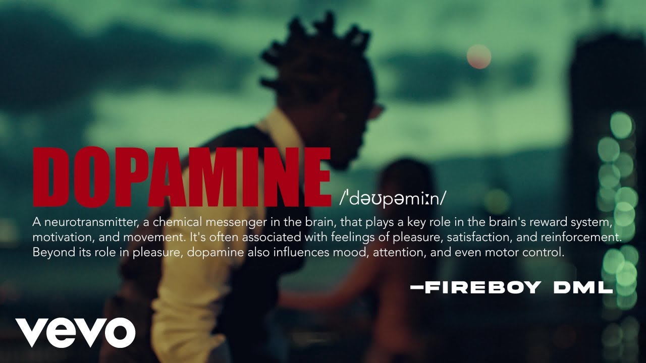Fireboy DML - Dopamine (Official Visualizer) 🎶