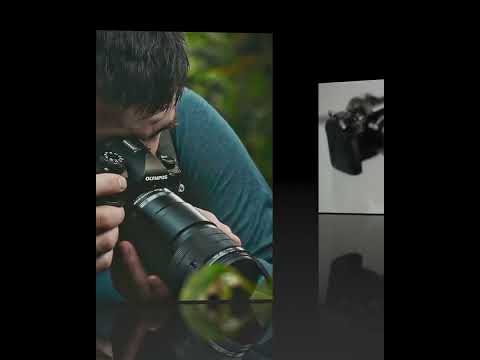 OM System M. Zuiko Digital ED 90 mm f/3.5 Macro IS PRO autofocus i stabilizacja w macro