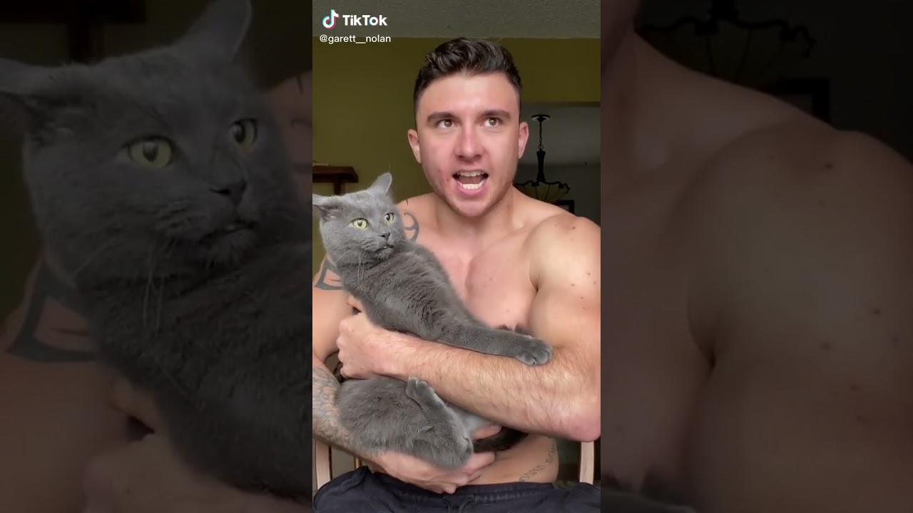 Why Did My Cat Bite Me? 🐱 Owner Bleeding