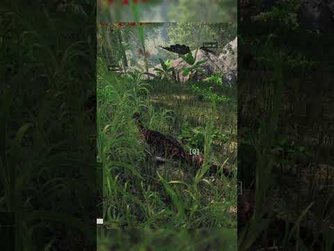 Riot Special | The Isle Evrima #isle #theisleevrima