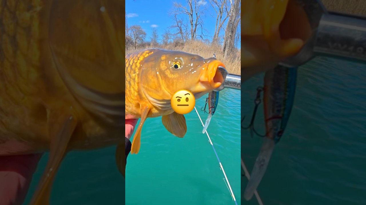 Caught a Monster Fish! 🎣