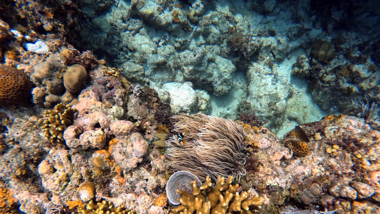 Voyage aux Philippines - Juin 2024 🇵🇭