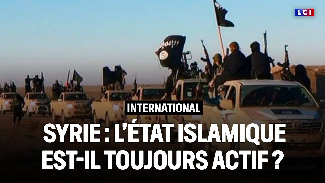 EI en Syrie : est-il toujours actif ? 🔥