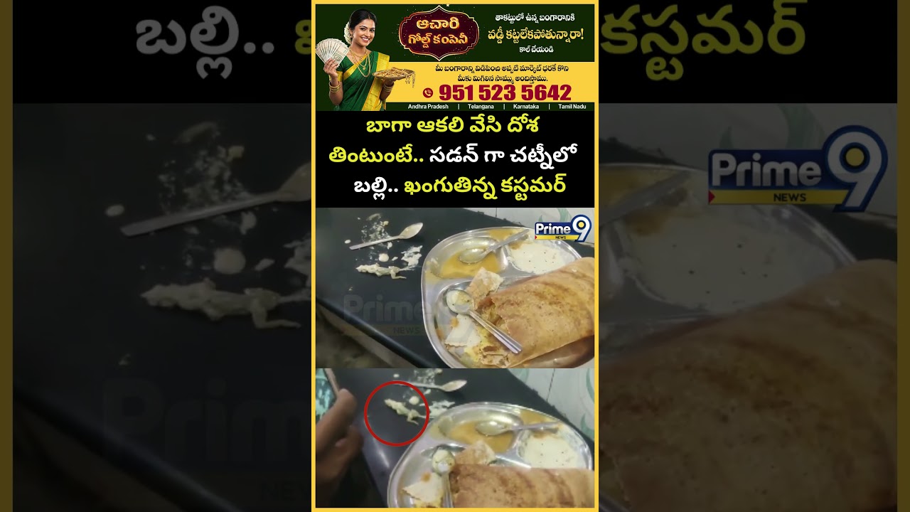 అకలి వేసి దోశ తింటున్నప్పుడు చట్నీలో బల్లి 🍽️
