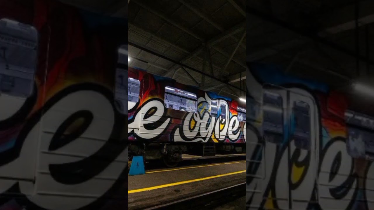 Унікальний арт-потяг у київському метро 🇺🇦