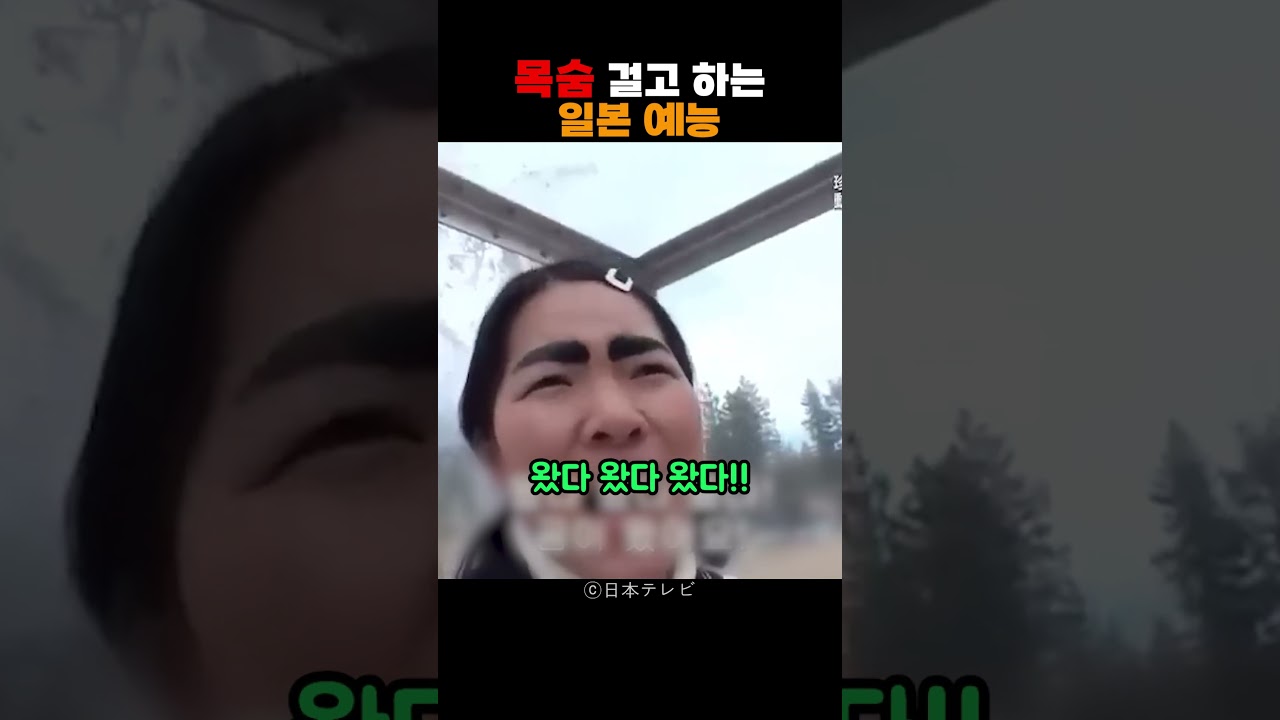 일본의 목숨 건 예능 프로그램 🎥