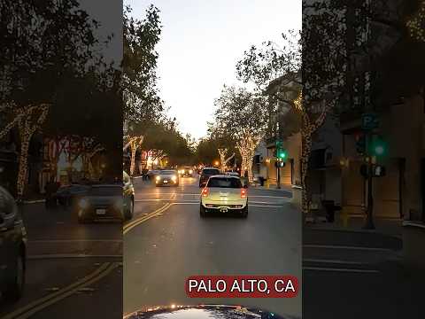 Palo Alto, California #shorts