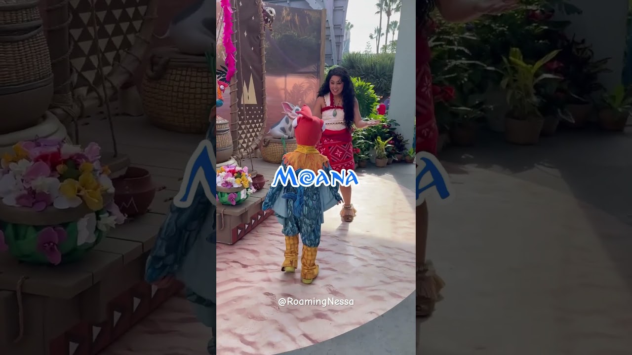 Moana Meet & Greet at Disney 🌊