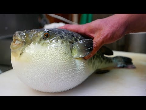 Japanese Street Food: Live Fugu Pufferfish 🍣