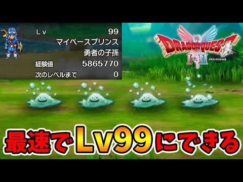 やはりあった！スライム島で最速レベル99にしちゃいましょう。【ドラゴンクエスト1 2リメイク】【naotin】