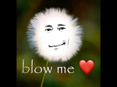 low quality insta reels that make me chuckle