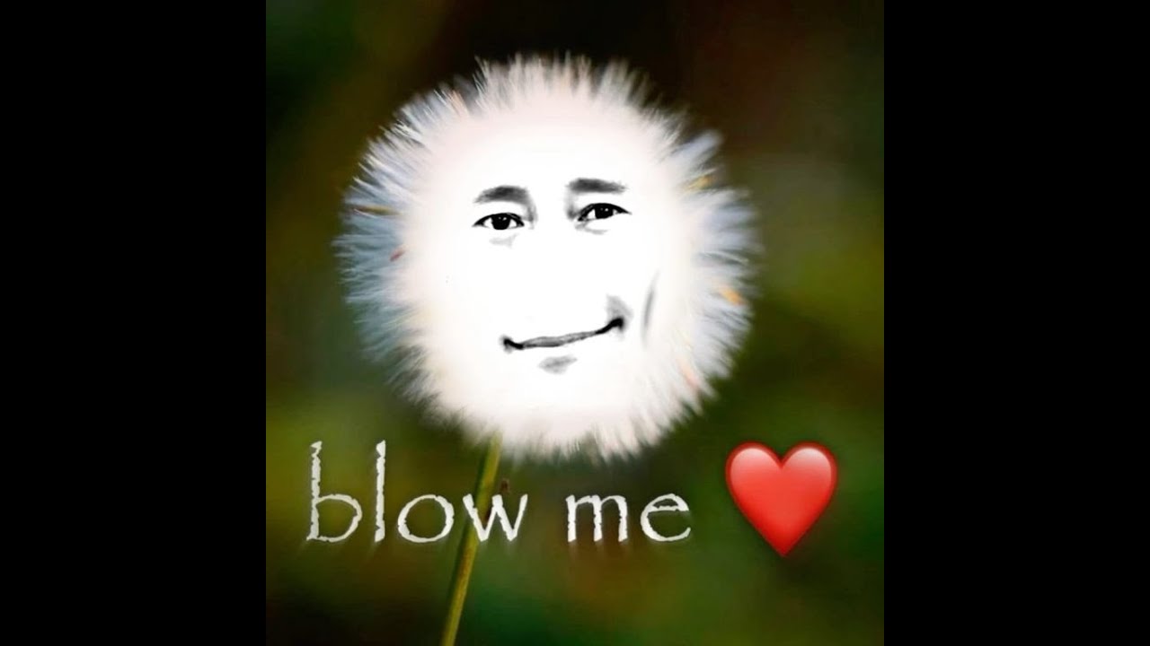 Humorous Low-Quality Instagram Reels