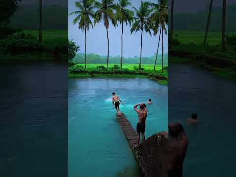 Kerala in monsoon Days #shortsvideo #travel #palakkad